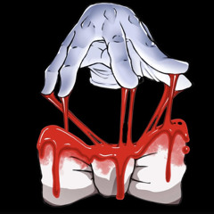 New Don Collective LLC