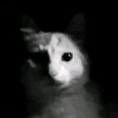 ‎ ‎ ‎ ‎ ‎ ‎ ‎ ‎ ‎ ‎ ‎ salm0ngh0st