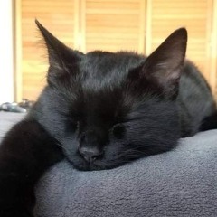 Faeki