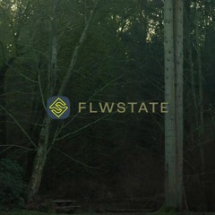 Flwstate Records