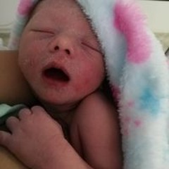 Alexis Hernandez Quintero