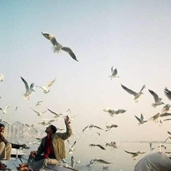 Begad younis