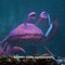 Sammy The Crab