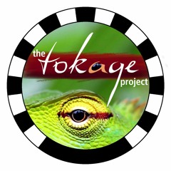 the TOKAGE! project