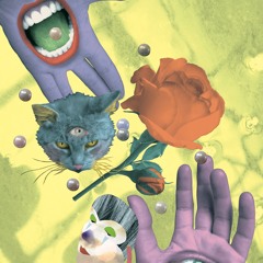 Imaginierte Zukünfte BBS