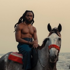 Johnny Venus