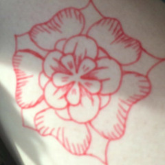 shamrock