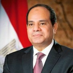 السيد احمد نوفل