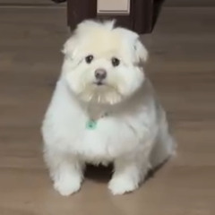 경수요미