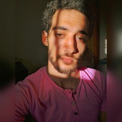 Mohamed Naser