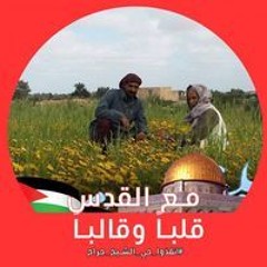 ربيع ابوفايز الجميعى