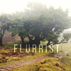 Flurrist