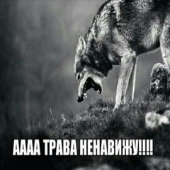 я который долбоеб