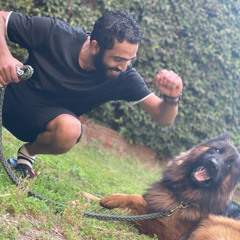 Awad Elenaizi