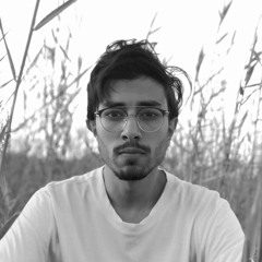Anas Ali Elshazly