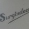 Surgindea