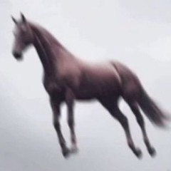 Thunderz Zak