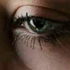 عبد الحميد احمد محمد