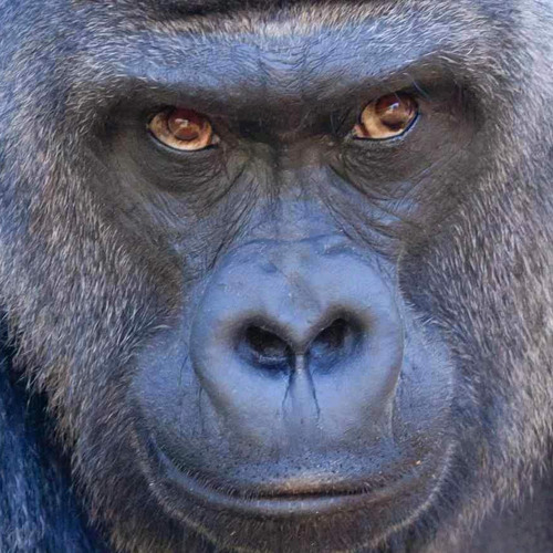 05 Uncle Murda ft Troy Ave - SelfMade.mp3