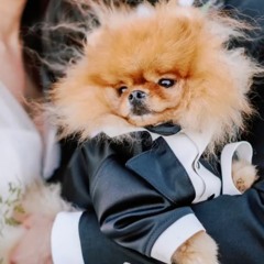 Pookahthepom