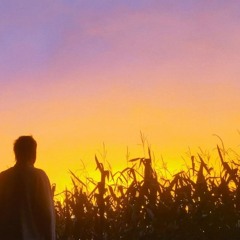 lynnsky