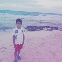 Hassan Amr Nassar