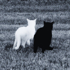 j_x.zun9__x0