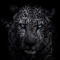 Ahmed_husienn