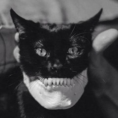 nekoシズネ