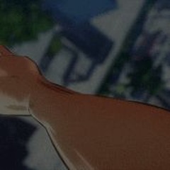 shinzoyuki