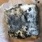 FreakCheese