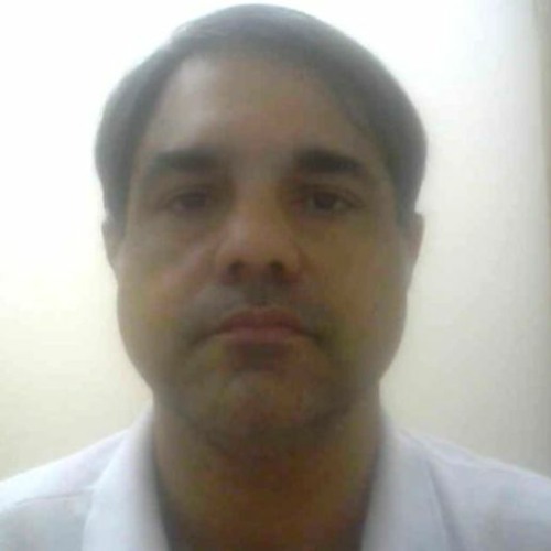 José Zambon’s avatar