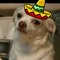 Amigo :D