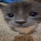 keekee