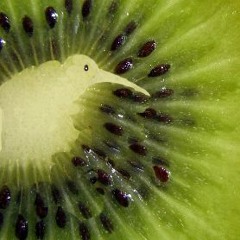 Vert Kiwi