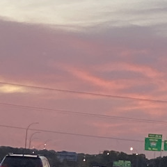 Alyssavm10