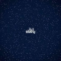 Rabie Ali Finsh