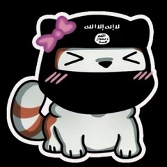 :3