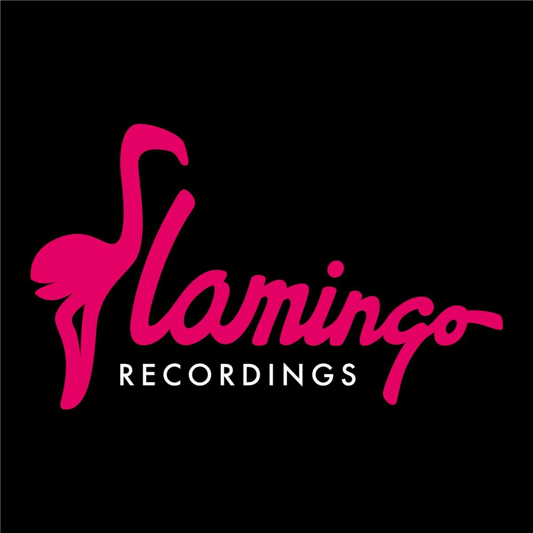 flamingo funk volume 1