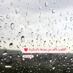 Taima Lababidi