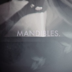 MANDIBLES