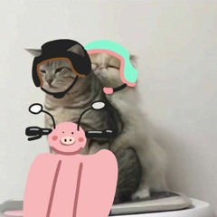 Nogoay