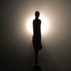 Martijn van Limbeek - De Poolwachters