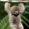 slothboi