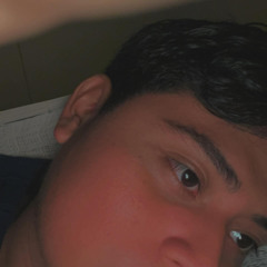 Leinad