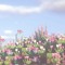 sakura __dakura