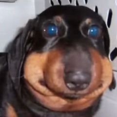 gøøber