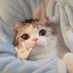 snguynx