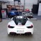 pioterson7312