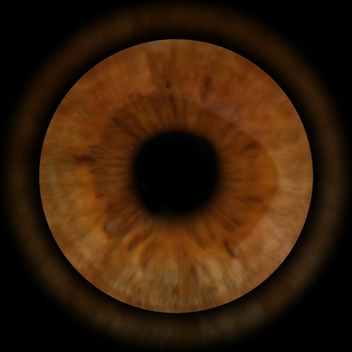 End Eye’s avatar